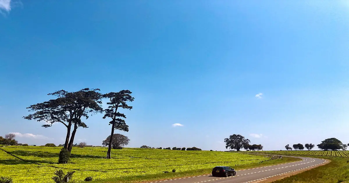 Kiambu