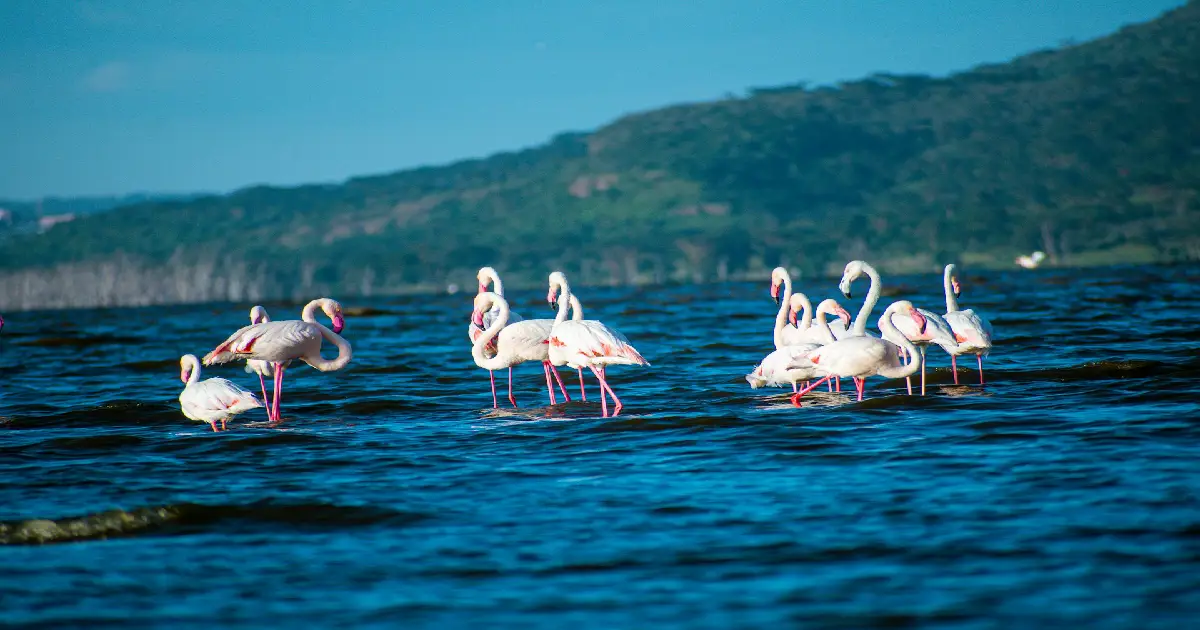 Nakuru